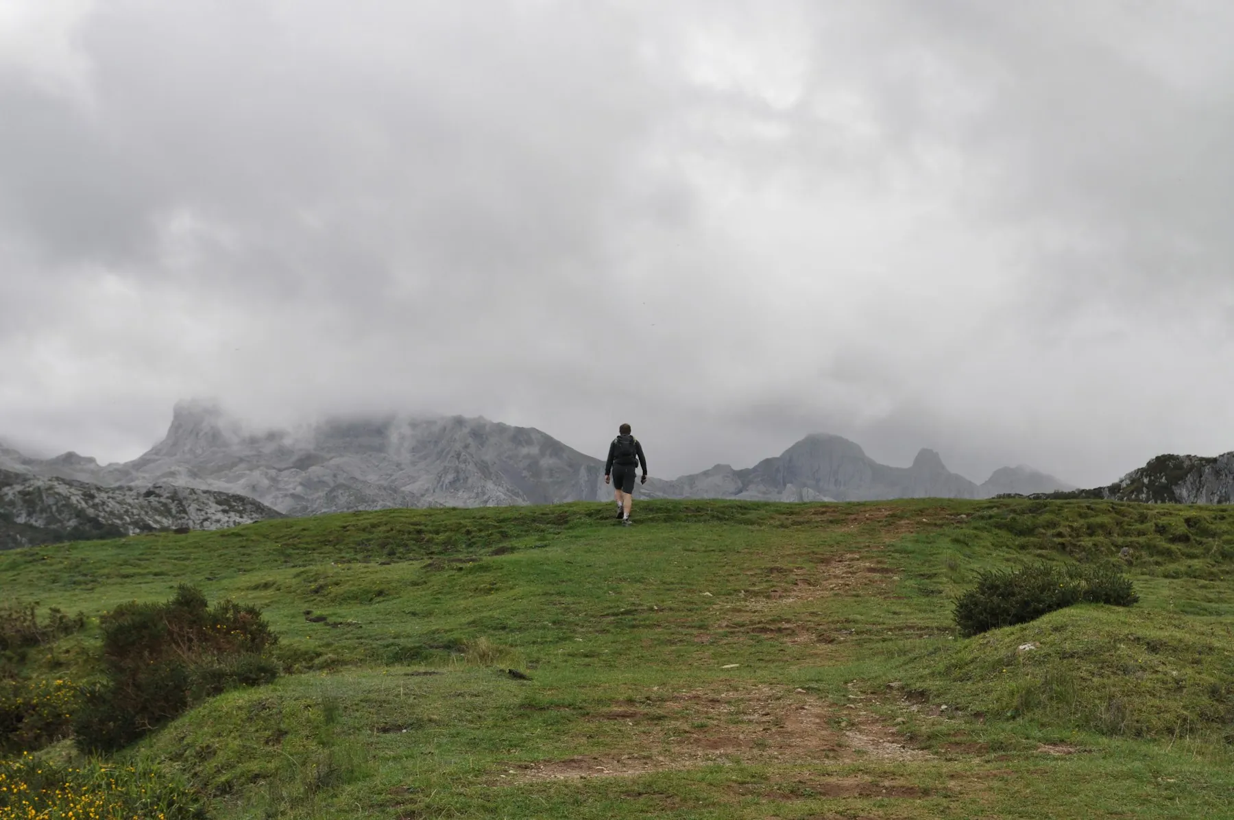 Una persona observa un paisaje verde y abierto